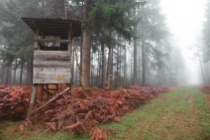 Wild Kochkurs in Schwetzingen bei Mannheim/Heidelberg